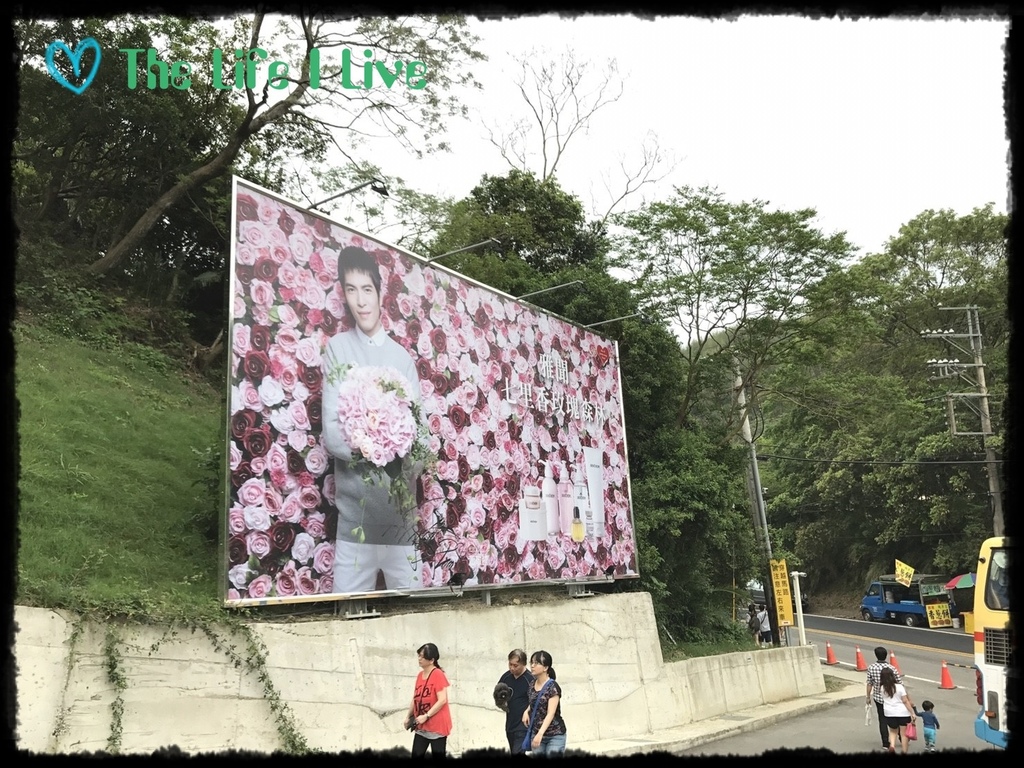 雅聞七里香玫瑰森林 60.jpg