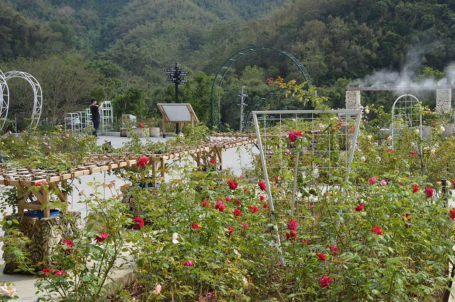 雅聞玫瑰森林06