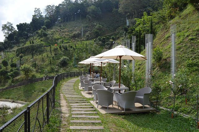 雅聞玫瑰森林56