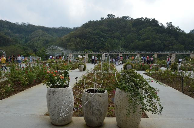 雅聞玫瑰森林08