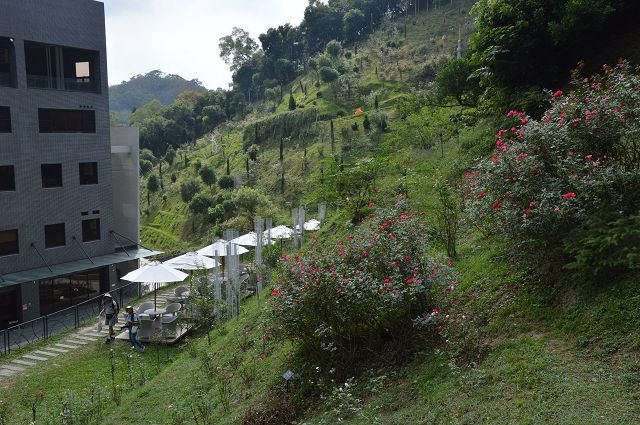 雅聞玫瑰森林54