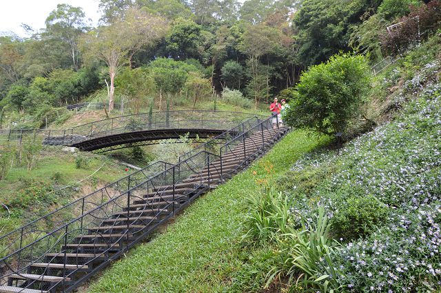 雅聞玫瑰森林46