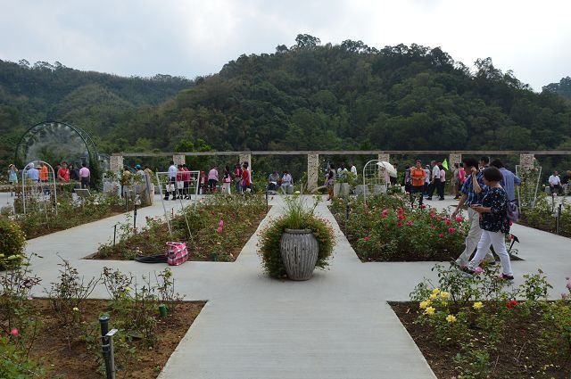 雅聞玫瑰森林04