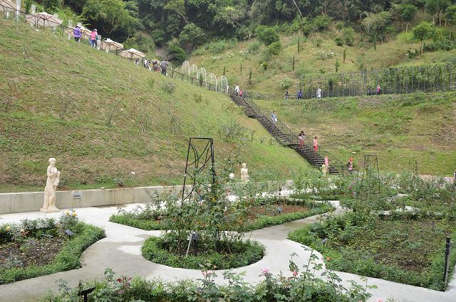 雅聞玫瑰森林19