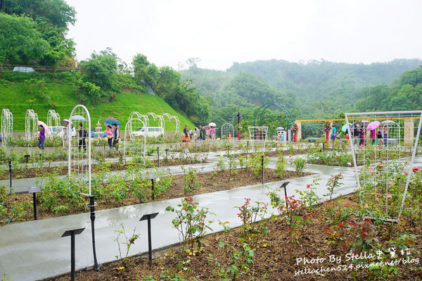 【苗栗-頭屋】走進玫瑰的世界@雅聞七里香玫瑰森林★苗栗/苗栗頭屋/頭屋景點/苗栗新景點/苗栗觀光工廠/苗栗免費景點