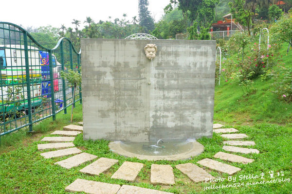 【苗栗-頭屋】走進玫瑰的世界@雅聞七里香玫瑰森林★苗栗/苗栗頭屋/頭屋景點/苗栗新景點/苗栗觀光工廠/苗栗免費景點