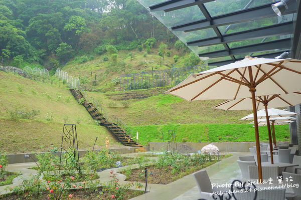 【苗栗-頭屋】走進玫瑰的世界@雅聞七里香玫瑰森林★苗栗/苗栗頭屋/頭屋景點/苗栗新景點/苗栗觀光工廠/苗栗免費景點