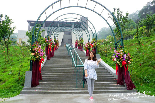 【苗栗-頭屋】走進玫瑰的世界@雅聞七里香玫瑰森林★苗栗/苗栗頭屋/頭屋景點/苗栗新景點/苗栗觀光工廠/苗栗免費景點