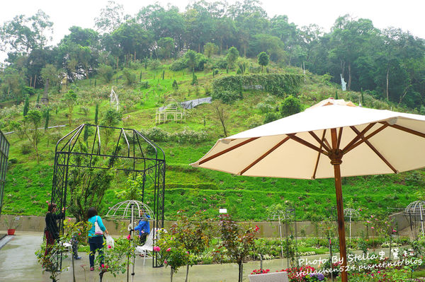 【苗栗-頭屋】走進玫瑰的世界@雅聞七里香玫瑰森林★苗栗/苗栗頭屋/頭屋景點/苗栗新景點/苗栗觀光工廠/苗栗免費景點