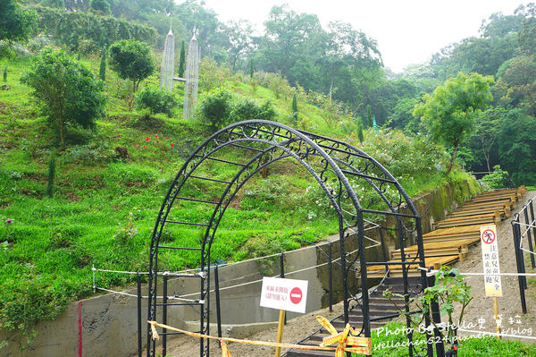 【苗栗-頭屋】走進玫瑰的世界@雅聞七里香玫瑰森林★苗栗/苗栗頭屋/頭屋景點/苗栗新景點/苗栗觀光工廠/苗栗免費景點