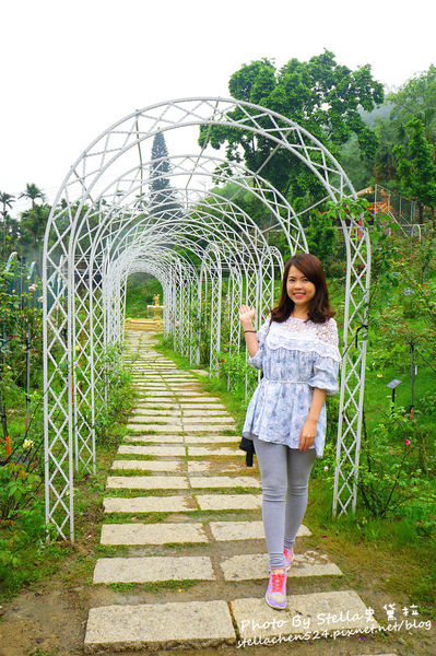 【苗栗-頭屋】走進玫瑰的世界@雅聞七里香玫瑰森林★苗栗/苗栗頭屋/頭屋景點/苗栗新景點/苗栗觀光工廠/苗栗免費景點