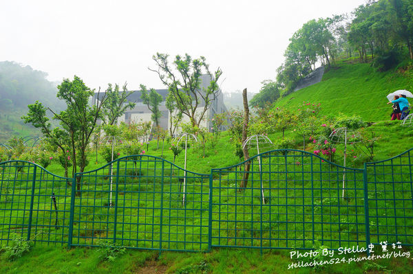 【苗栗-頭屋】走進玫瑰的世界@雅聞七里香玫瑰森林★苗栗/苗栗頭屋/頭屋景點/苗栗新景點/苗栗觀光工廠/苗栗免費景點