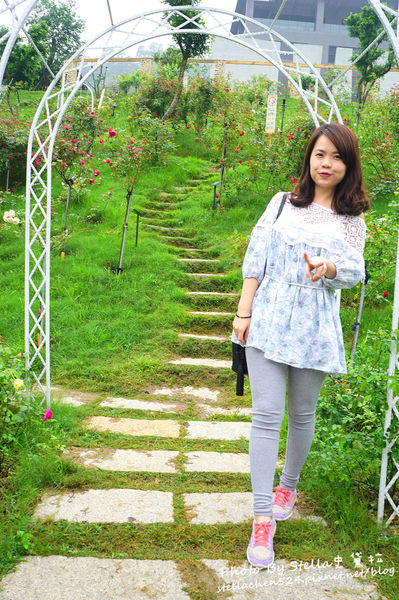 【苗栗-頭屋】走進玫瑰的世界@雅聞七里香玫瑰森林★苗栗/苗栗頭屋/頭屋景點/苗栗新景點/苗栗觀光工廠/苗栗免費景點