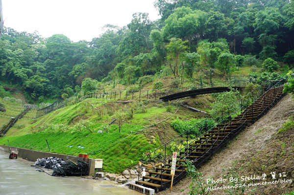 【苗栗-頭屋】走進玫瑰的世界@雅聞七里香玫瑰森林★苗栗/苗栗頭屋/頭屋景點/苗栗新景點/苗栗觀光工廠/苗栗免費景點