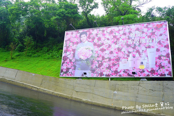 【苗栗-頭屋】走進玫瑰的世界@雅聞七里香玫瑰森林★苗栗/苗栗頭屋/頭屋景點/苗栗新景點/苗栗觀光工廠/苗栗免費景點