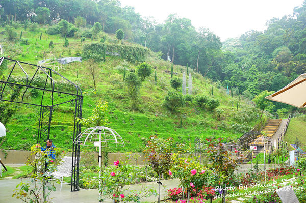 【苗栗-頭屋】走進玫瑰的世界@雅聞七里香玫瑰森林★苗栗/苗栗頭屋/頭屋景點/苗栗新景點/苗栗觀光工廠/苗栗免費景點