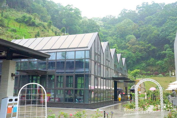 【苗栗-頭屋】走進玫瑰的世界@雅聞七里香玫瑰森林★苗栗/苗栗頭屋/頭屋景點/苗栗新景點/苗栗觀光工廠/苗栗免費景點