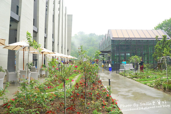 【苗栗-頭屋】走進玫瑰的世界@雅聞七里香玫瑰森林★苗栗/苗栗頭屋/頭屋景點/苗栗新景點/苗栗觀光工廠/苗栗免費景點