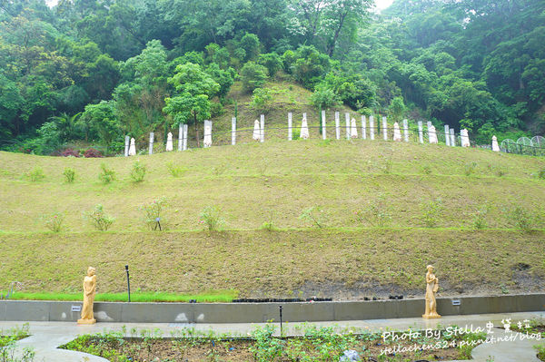 【苗栗-頭屋】走進玫瑰的世界@雅聞七里香玫瑰森林★苗栗/苗栗頭屋/頭屋景點/苗栗新景點/苗栗觀光工廠/苗栗免費景點
