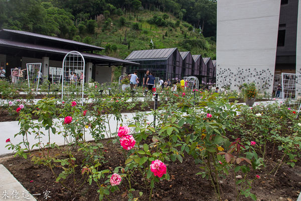 IMG_0641-2.jpg IMG_0641-2.jpg