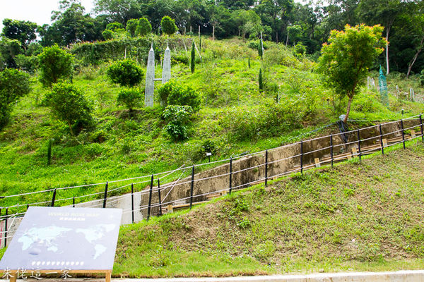 IMG_0606.jpg IMG_0606.jpg