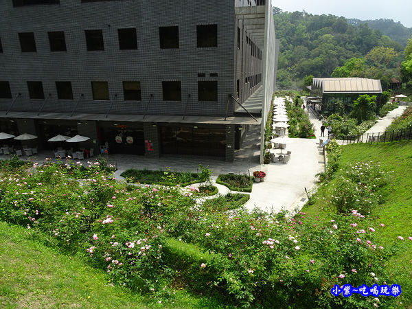 苗栗-雅聞七里香玫瑰森林 (48).jpg