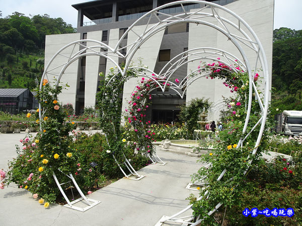 苗栗-雅聞七里香玫瑰森林 (34).jpg