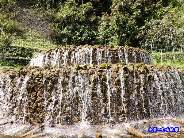 苗栗-雅聞七里香玫瑰森林 (65).jpg