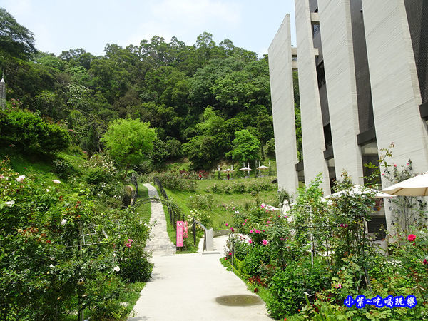 苗栗-雅聞七里香玫瑰森林 (40).jpg
