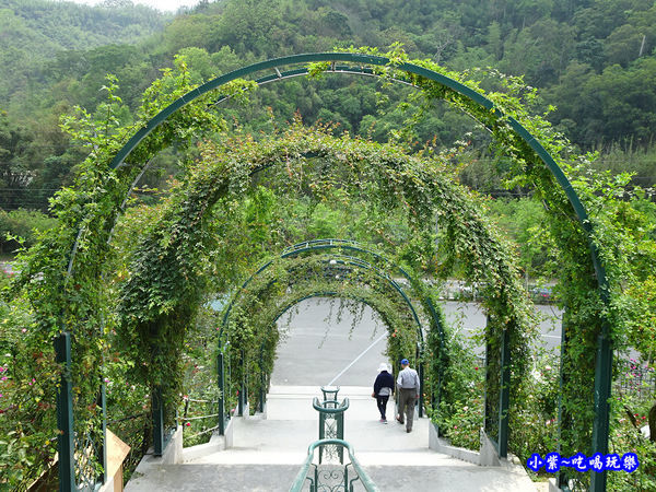 苗栗-雅聞七里香玫瑰森林 (52).jpg