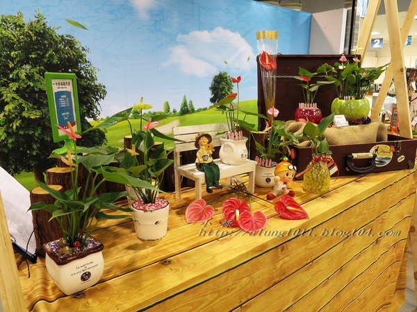 高通通之 型農大聯盟篇~