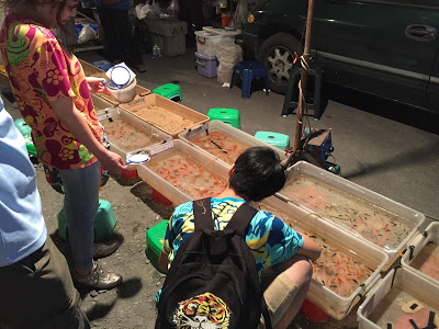 東港員旅 幸福風帆渡假民宿 - SGS認證民宿 東港第一首選