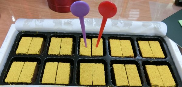 佳風蜜冰淇淋：來自彰化的