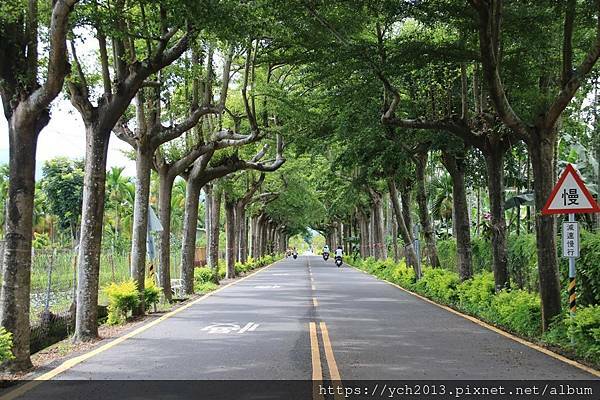 (10)潮州綠色隧道.JPG
