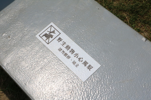 屏東 龍水。2016屏東彩稻生活節