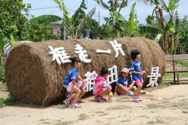 屏東 龍水。2016屏東彩稻生活節