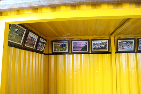 屏東 龍水。2016屏東彩稻生活節