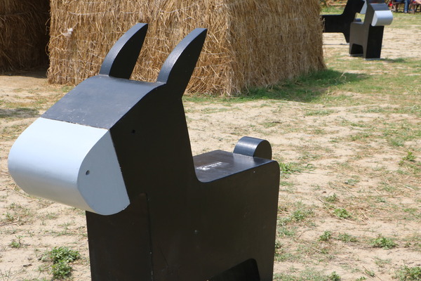 屏東 龍水。2016屏東彩稻生活節