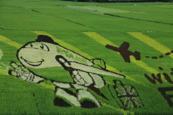 屏東 龍水。2016屏東彩稻生活節