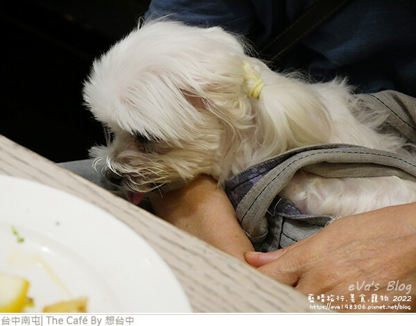 想台中-46.jpg 想台中-46.jpg