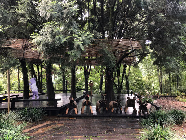 薰衣草森林新竹尖石店 / 繡球花 / 花季 / 新竹踏青景點