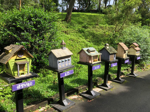 薰衣草森林新竹尖石店 / 繡球花 / 花季 / 新竹踏青景點