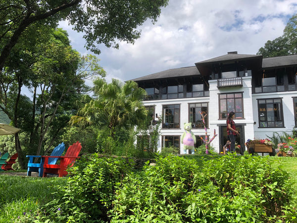 薰衣草森林新竹尖石店 / 繡球花 / 花季 / 新竹踏青景點