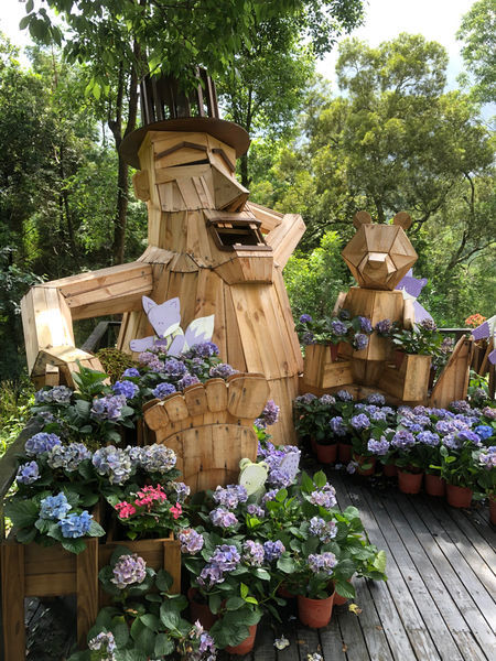 薰衣草森林新竹尖石店 / 繡球花 / 花季 / 新竹踏青景點