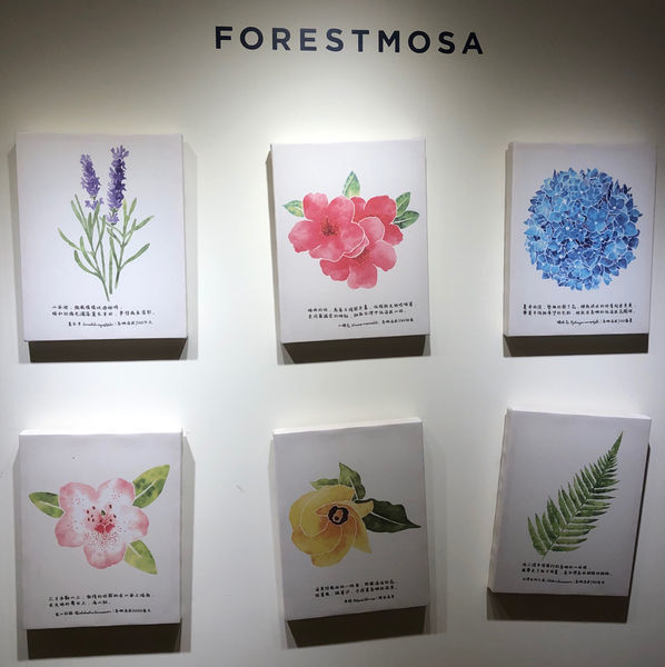 薰衣草森林新竹尖石店 / 繡球花 / 花季 / 新竹踏青景點