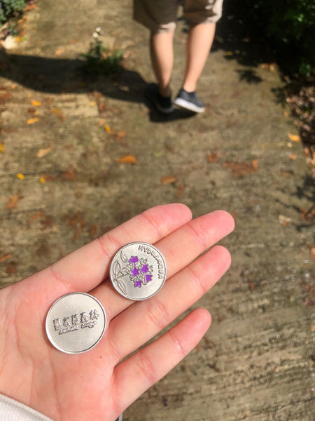 薰衣草森林新竹尖石店 / 繡球花 / 花季 / 新竹踏青景點