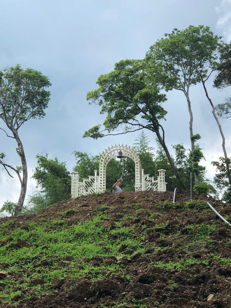薰衣草森林新竹尖石店 / 繡球花 / 花季 / 新竹踏青景點