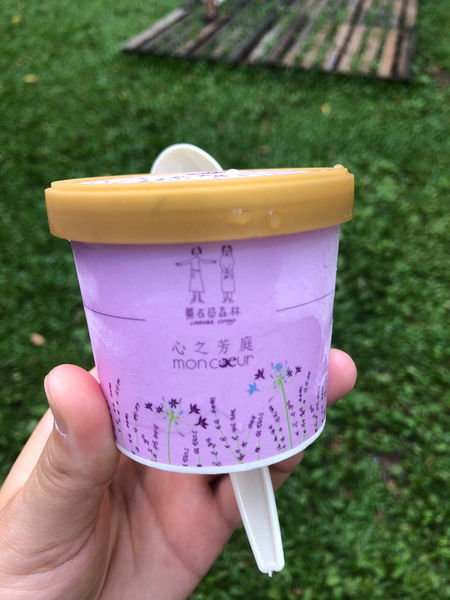 薰衣草森林新竹尖石店 / 繡球花 / 花季 / 新竹踏青景點