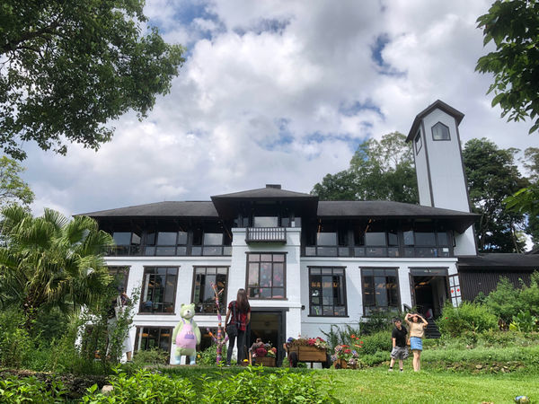 薰衣草森林新竹尖石店 / 繡球花 / 花季 / 新竹踏青景點