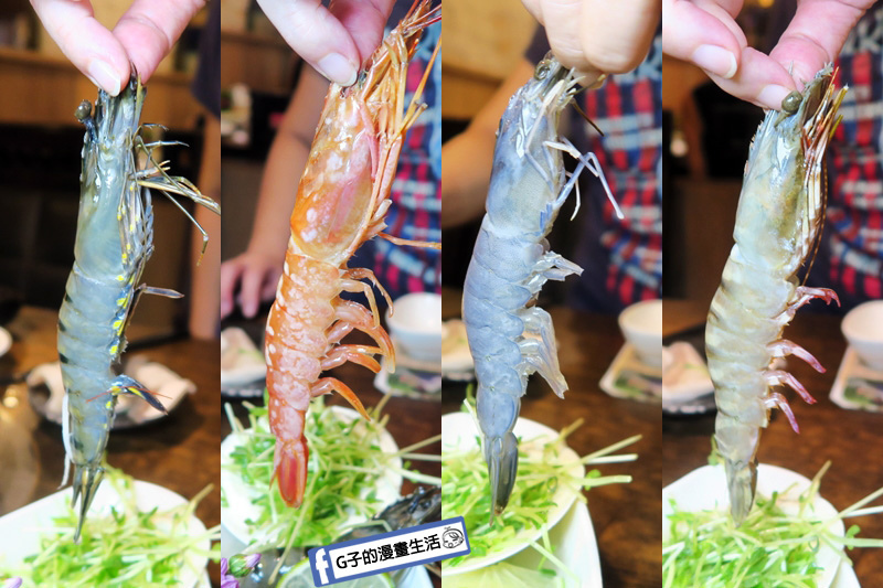 新莊喜園涮涮鍋.有機鍋物.新莊火鍋推薦